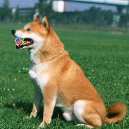 Dog-Ball-TOOGOOR-Dog-toy-pet-node-Ball-Rubber-Ball-Throwing-ball-Dog-Ball-bell-ball