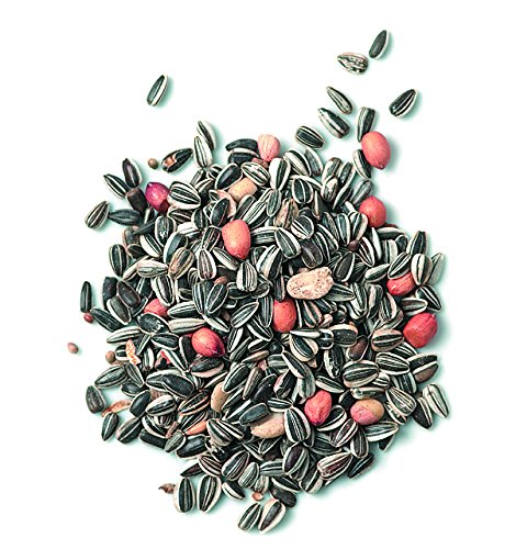 Erdtmanns Meisenfutter, 1er Pack (1 x 25 kg) - 8