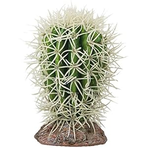 Hobby 37005 Kaktus Great Basin