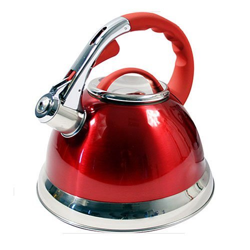 Bouilloires Électriques 3,5l en Acier Inoxydable Sifflant avec Poignée Résistante à la Chaleur Bouilloires à Eau (HTOOQ
