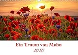 Ein Traum von Mohn (Wandkalender 2020 DIN A3 quer) by 