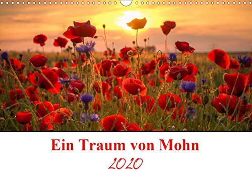 Ein Traum von Mohn (Wandkalender 2020 DIN A3 quer)