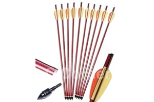 Anglo Arms 10 x 20 Alloy Aluminum Crossbow Xbow Bolts Arrows With Steel Tip End