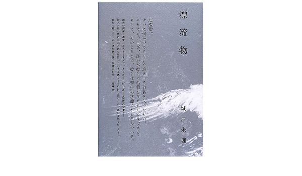 Amazon Fr 漂流物 Livres