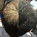LDN Professional Hair Building Fibres for Hair Loss and Thin Hair, No.1 for Instantly Thickening Hair Naturally, 22g hair fiber bottle