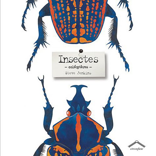 couverture de : Insectes, col&eacute;opt&egrave;res