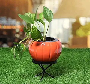 HINS Orange Pumpkin Metal Polka Round Shape Flower Plant & Pot With Stand (Orange, X-Large) Metal Pots For Indoor Plants I Elevated Garden Planter I Raised Planter I Desk Plant I Raised Planter Box I Ascent Homes Metal Planter I Raised Planter Box With Legs I Brass Pots For Indoor Plants I Golden Planter I Mid Century Plant Stand I Brass Planters For Indoor Plants I Indoor Plant Stand For Living Room I Metal Planters Pot For Indoor Plants designer pots for indo