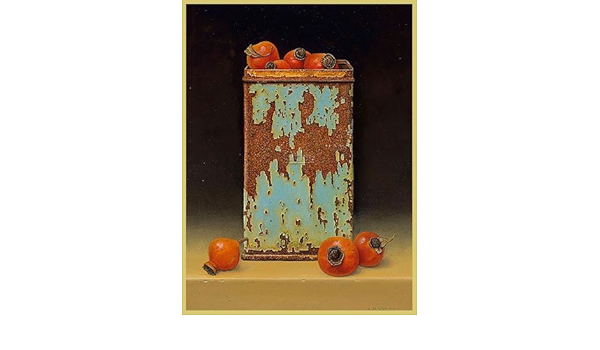 Rosehips and Rusty Tin of AAD Hofman: Amazon.co.uk: Kitchen & Home