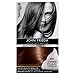 John Frieda Precision Colour Medium Chocolate Brown 5B