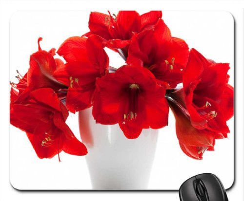 Preisvergleich Produktbild Red amaryllis Mouse Pad, Mousepad (Flowers Mouse Pad)