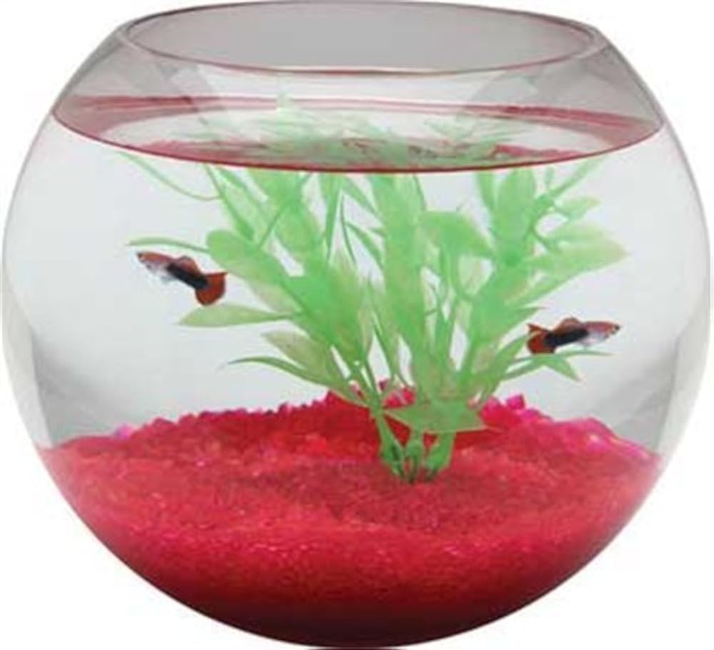 Glassfish Bowl Hentai