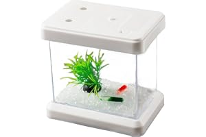 Mini färgglad akvarium färgskiftande akvarium avtagbar visning landskapsarkitektur låda för reptil för hushåll och kontor akvarium
