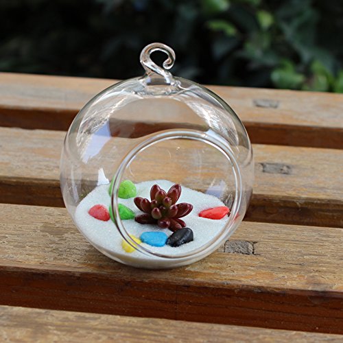 Hängende Glas Blumenvase Vase für Hängedeko Pflanzen Dekoration – 12cm Durchmesser - 3