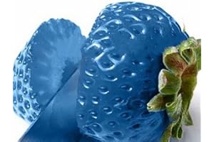 Haloppe 100 Unids Semillas de Frutas de Fresa para la Plantación de Jardín en el Hogar, Semillas de Plantas de Frutas de Fresa Deliciosas Bonsai Balcón Jardín Decoración de Patio Azul