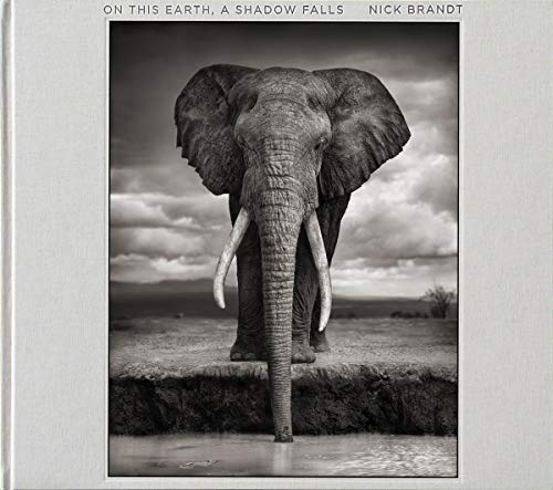 Télécharger On This Earth, a Shadow Falls livre En ligne