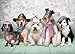 Produktbild Heidi Oyuncak 4205 Bosom Friends Kunst Puzzle