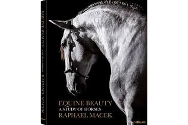 Beauté Equestre - Etude sur les chevaux