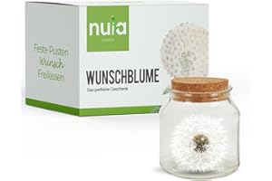 NUIA Wunschblume als Geschenk - Ewig haltbare Pusteblume im Glas - Geschenkidee zur Hochzeit, Geburtstag, Valentinstag, für Frauen oder zu Weihnachten - Glücksbringer und Vergiss Mich Nicht Geschenk