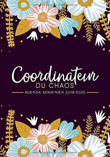 Télécharger Coordinateur du Chaos : agenda semainier 2019-2020: Du 1er juillet 2019 au 30 juin 2020 : aperçu he Livre eBook France