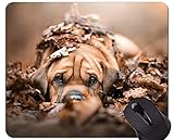 3.Bietet ausgezeichnete Maus Tracking für einen Ball oder optischen Maus;