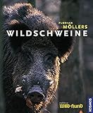Image de Wildschweine