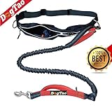 KONVENIENT - Fühlen Sie sich frei, während Sie laufen. Stecken Sie Ihre Wertsachen in den speziellen Gürtel, damit Sie Ihre Schlüssel, Ihr Handy, Ihre Brieftasche und sogar die Kacksäcke immer griffbereit haben, wenn Sie sie brauchen.