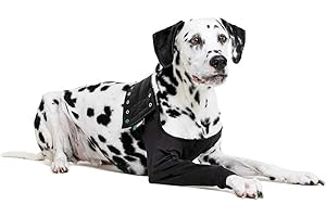 Suitical Rękaw Regeneracyjny dla psa, XL, Czarny