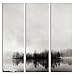 Produktbild JP London 3 Panels bei 16 in von 48 in ltcnv1 X 48450 JPL und Franz Bogner Geschenk Isle of Silence Insel schwarz weiß Forest Lake Triptychon 3 große insgesamt Schwerer Galerie Wrap Leinwand, extra groß