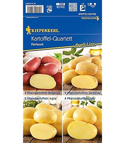 Quedlinburger 84011 Kartoffel Linda (10 Stck) (Pflanzkartoffeln) :  Amazon.de: Garten