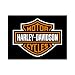 Produktbild Nostalgic-Art 14227 Harley-Davidson - Logo, Magnet 8x6 cm