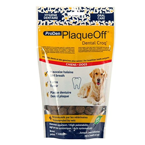 ProDen Plaque Off Dental Sportastic Irisette, 1er Pack (1 x 150 g)