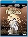 Grave Of The Fireflies [Edizione: Stati Uniti] [USA] [Blu-ray]