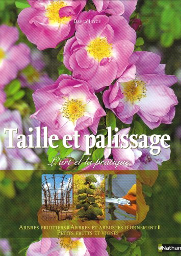 TAILLE ET PALISSAGE NC