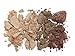 Lavera Beautiful Mineral Eyeshadow Quattro Cappuccino Cream 02 3.2 g
