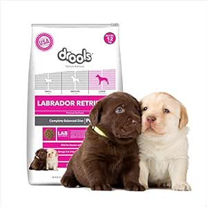 spray to stop dog marking