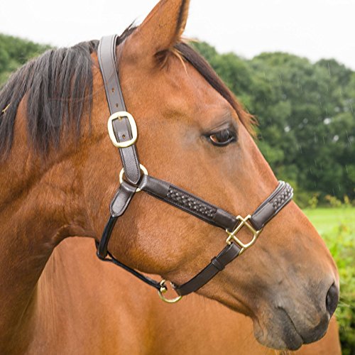 White-Horse-Equestrian-Quanlity-Leather-Braided-Plaited-Halter-All-Colours-Sizes