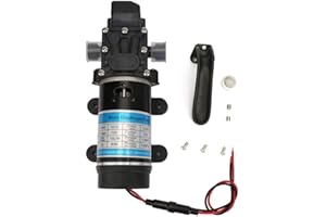 QITERR 12V Water Pump, 24V 120W Electric 10L/m Self Priming Diaphragm Pump for High Pressure Washer(12V 3210YD-12-120FS)