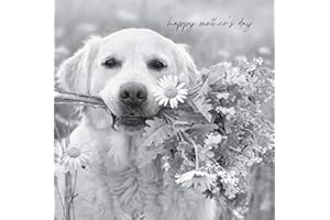 EMOTIONAL RESCUE Mothers Day Card, Mothers Day Cards, Mother's Day Card, Mother's Day Cards