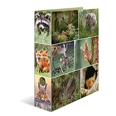 Herma 7202 Carton Classeur Motif DIN A4, série animaux motif animaux de la forêt, Largeur 70 mm, avec impression intérieure, 1 Classeur