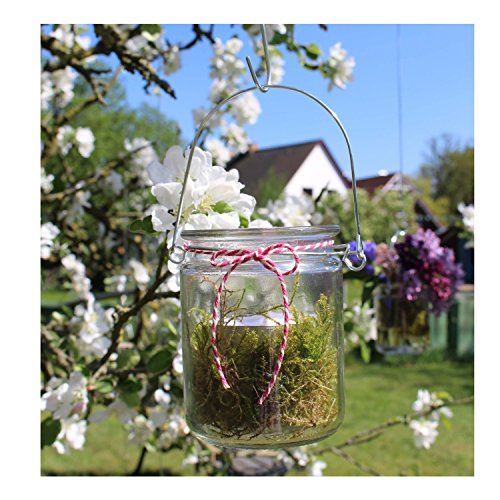 Windlichter, 12 Stück mit Henkel, Laterne Glaslaterne Garten-Deko, Ø 7,6 cm, H 10 cm - 3