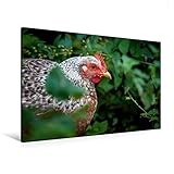 High-End Leinwand - Öko-Tex zertifizierter Druck von artido.de