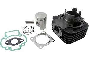2EXTREME Zylinder + Kolben 50ccm kompatibel für Piaggio Sfera NSL, Zip SSL, NRG 50 Power DT AC, VESPA LX 50, Sfera RST, DERBI Boulevard 50, Liberty 50 2T, TPH X Typhoon X 50, Fly 50, ET2, NRG 50 mc2