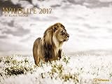 Wildlife Kalender 2017 - Tierkalender, Naturkalender, wilde Tiere 2017, Posterkalender - 64 x 48 cm by 
