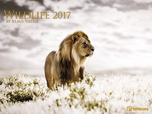 Wildlife Kalender 2017 - Tierkalender, Naturkalender, wilde Tiere 2017, Posterkalender - 64 x 48 cm