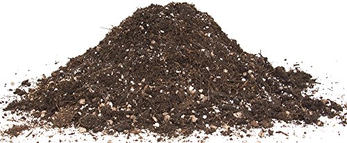 Floragard Bio Kräuter- und Aussaaterde ohne Torf 40 L, Kräutererde, torffrei - 3