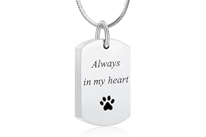 Minicremation Collana con urna per ceneri per animali domestici, con impronta di zampa, ciondolo ricordo per ceneri di animali domestici, gatti e cani, con kit di riempimento