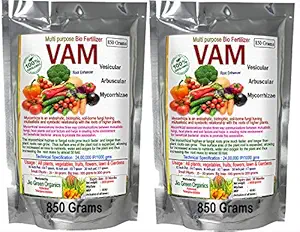 Jio Green garden Store VAM Vesicular Arbuscular Mycorrhizal biofertilizer granules 1.7 Kg (850g + 850g) for Root Development