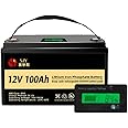 Saijiaoyang Lifepo4 12V 100Ah Deep Cycle Mini Battery for RV, Solar, Camping, Cabin, Marine and Off-Grid System, Home Energy Storage, Up to 15000 Deep Cycles