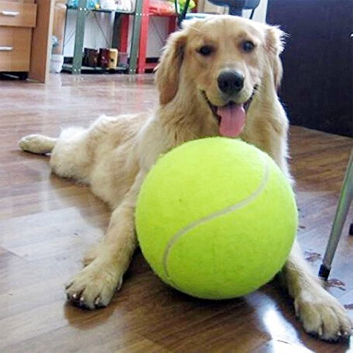 Alxcio - Pallina da tennis giocattolo gigante, per cani e animali domestici, giovani e adulti, per l'allenamento, 24 cm