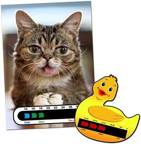 Baby and Child Home and Travel Thermometer Set to Monitor Temperature - Duck Baby Bath Thermometer & Kitty Baby Room Nursery Thermometer